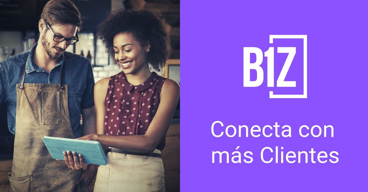 BIZ1 3